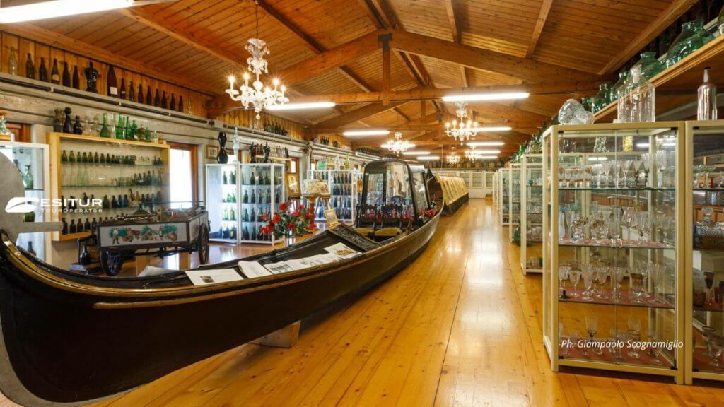 vigneti pittaro museo del vino viaggio organizzato in pullman