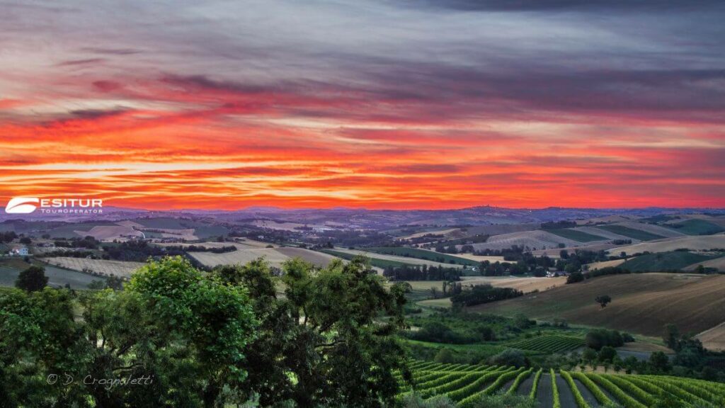 viaggio organizzato nella terra del verdicchio in pullman a jesi marche