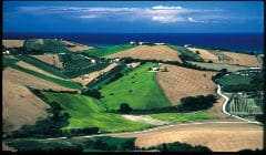 Viaggi organizzati ESITUR | Colline-marchigiane-viaggio-organizzato