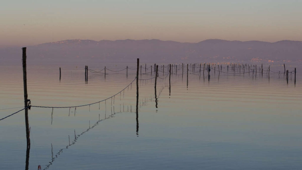 viaggi organizzati al lago trasimeno in pullman luci di natale