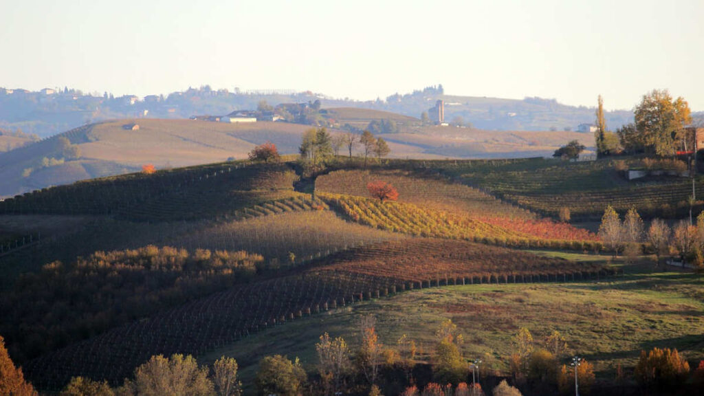 langhe barolo viaggio organizzato in pullman dalle marche