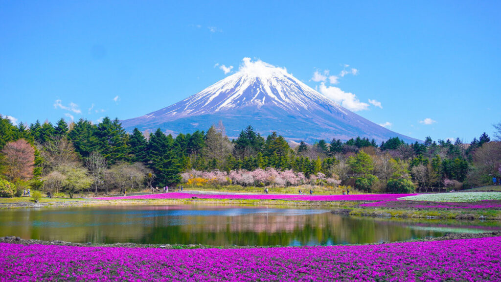 viaggio organizzato gran tour del giappone asia