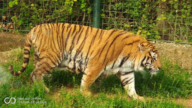 Viaggi organizzati ESITUR | b2ap3_large_Fasano-viaggi-organizzati-zoo-safari