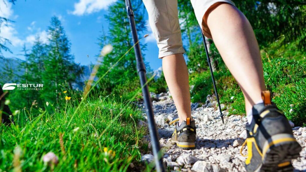 viaggio organizzato trekking in montagna in val di sole