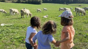 vacanze organizzate in per famiglie in primavera