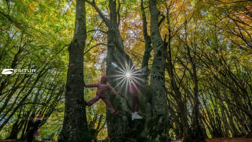 viaggio organizzato nelle marche a canfaito per il foliage