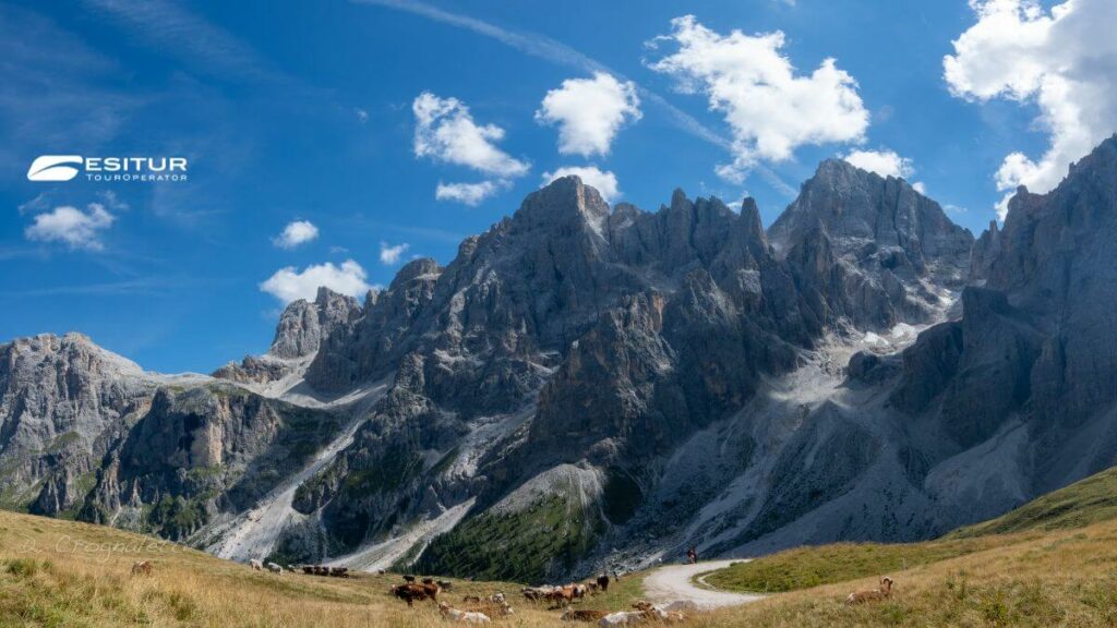 viaggi in montagna a san martino di castrozza in estate